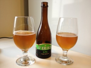 24 - StErik APA